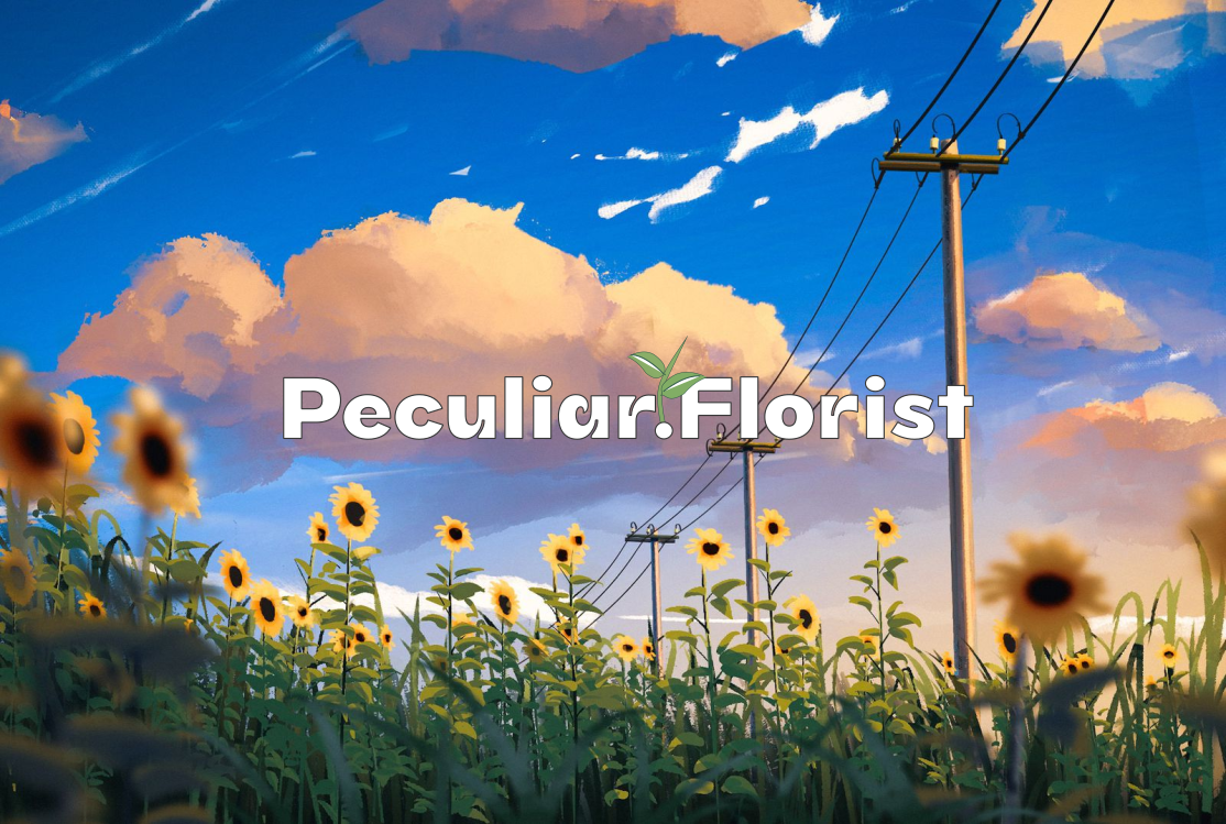 pelegrine's banner