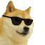 :doge@social.marud.fr: