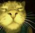 :cat_disco@hol.ogra.ph: