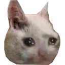 :sadcat@p.umbriel.fr: