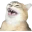 :cat_laugh@p.umbriel.fr: