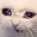 :catcri@p.umbriel.fr: