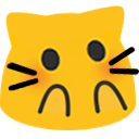 :blobcat_surprised_blush@fi.meyer-guillot.fr: